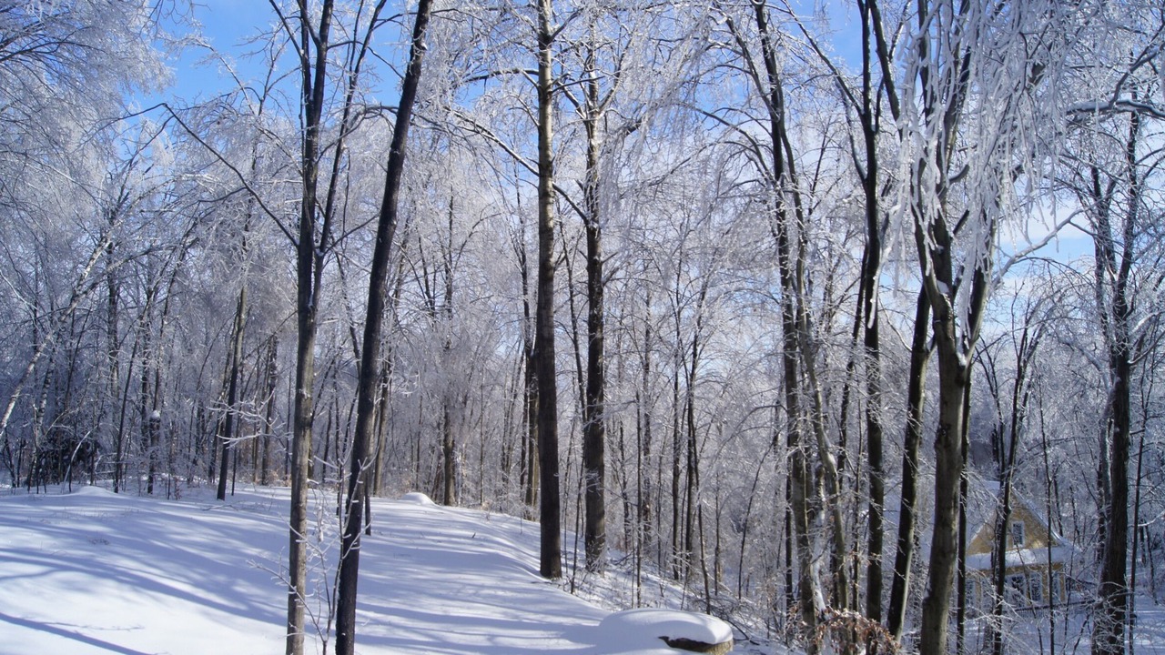 Photo of Others in Bromont