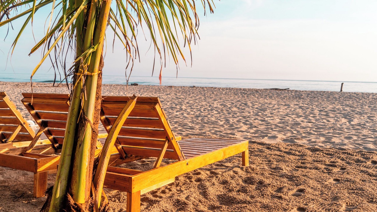 Photo of Outdoor in Palomino
