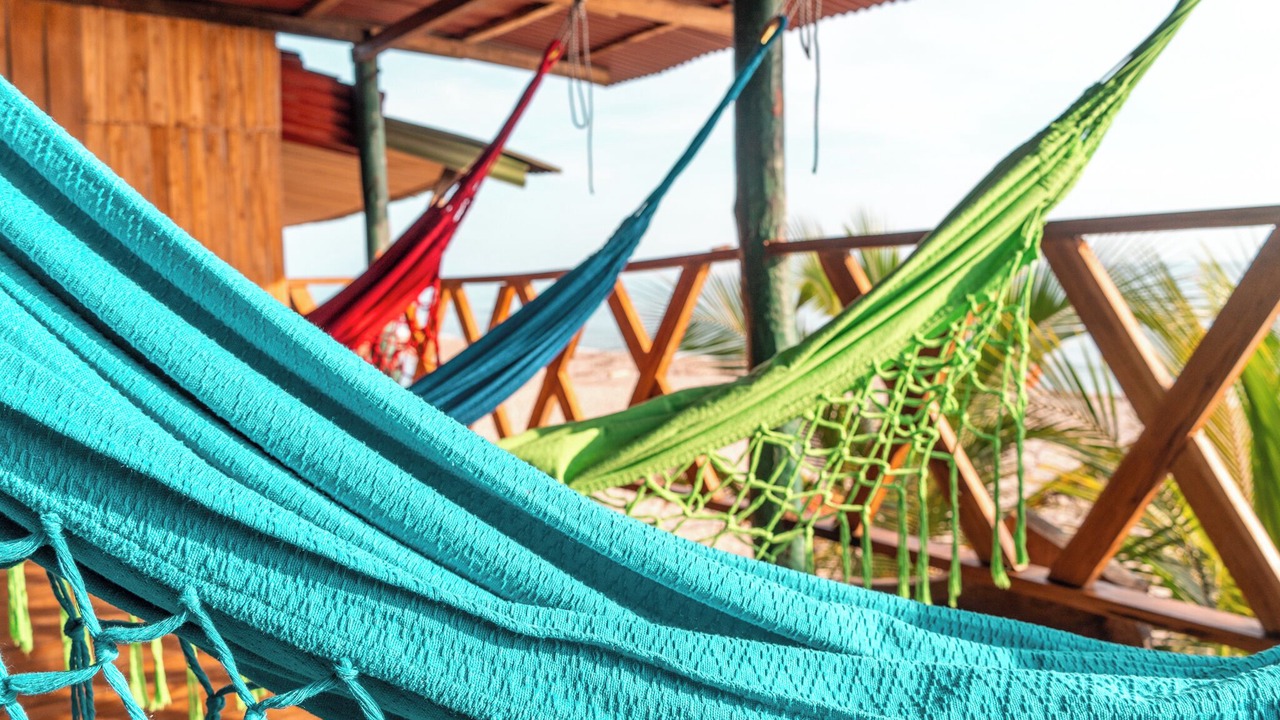 Photo of Outdoor in Palomino