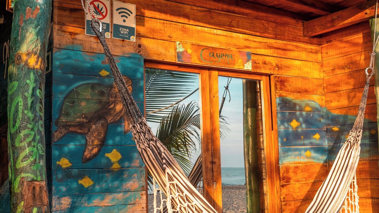 Photo of Outdoor in Palomino
