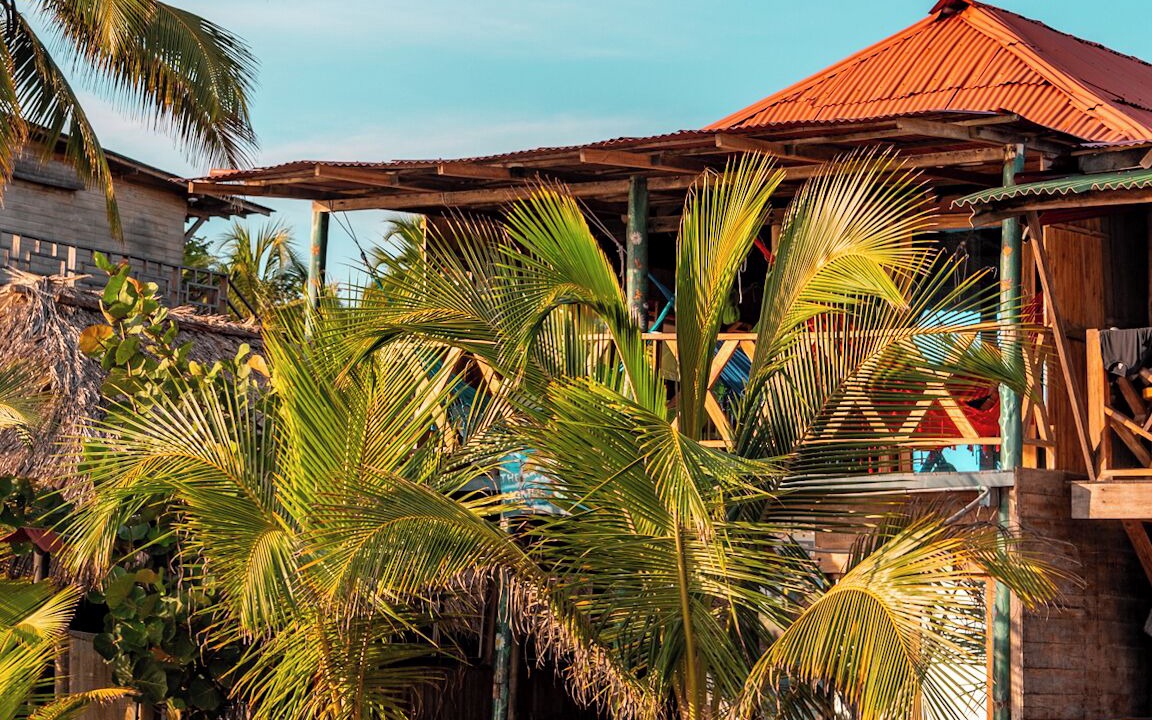 Photo of Outdoor in Palomino