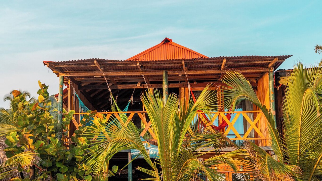 Photo of Outdoor in Palomino