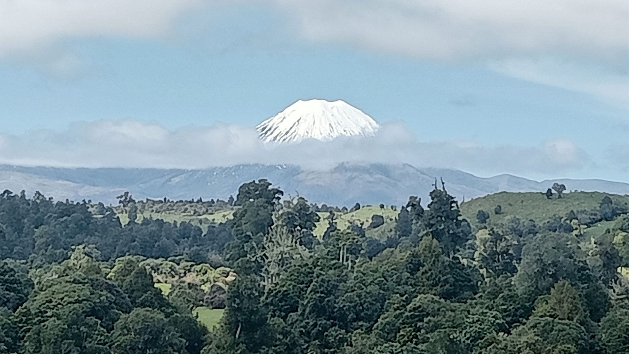 Photo of Others in Raurimu