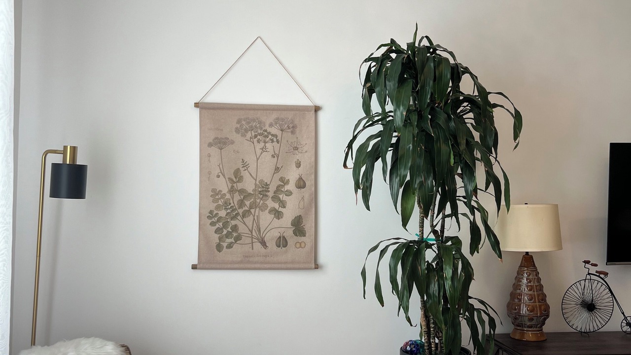 Photo of Livingroom in Wicker Park