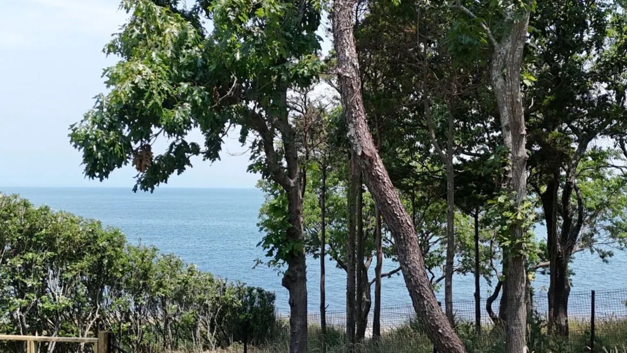 Photo of Outdoor in Clearwater Beach