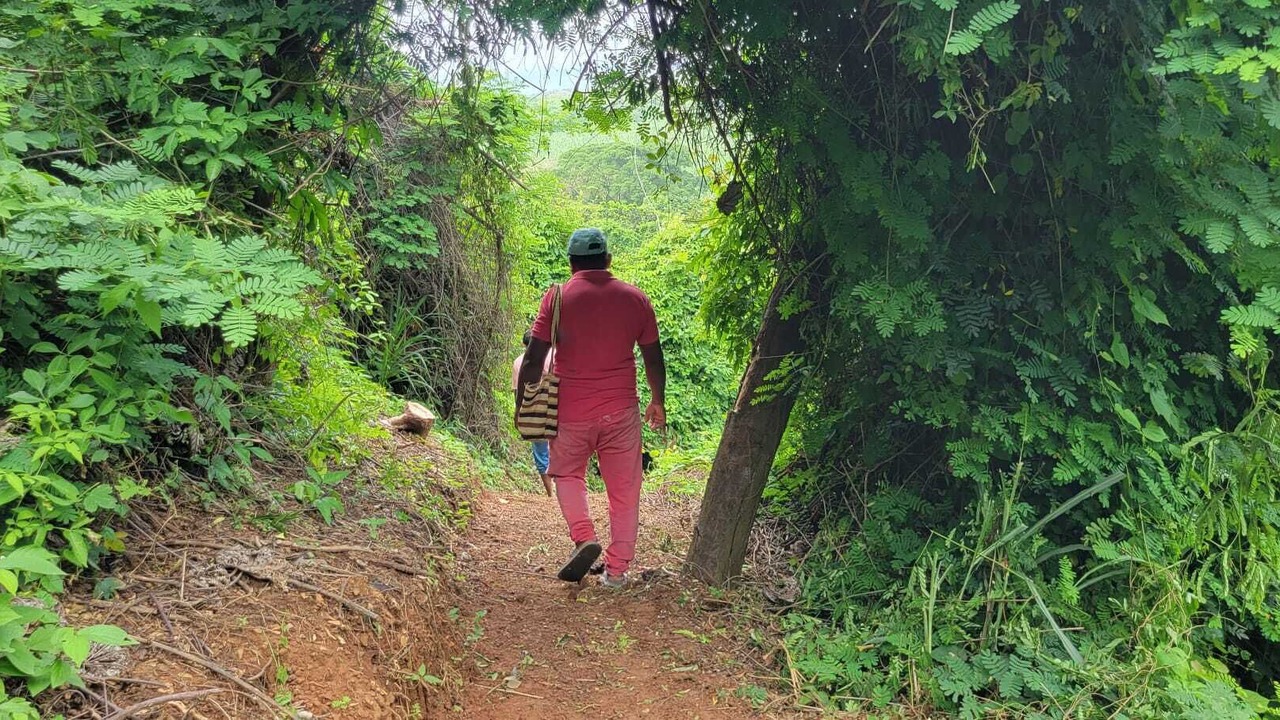 Photo of Outdoor in Buritaca