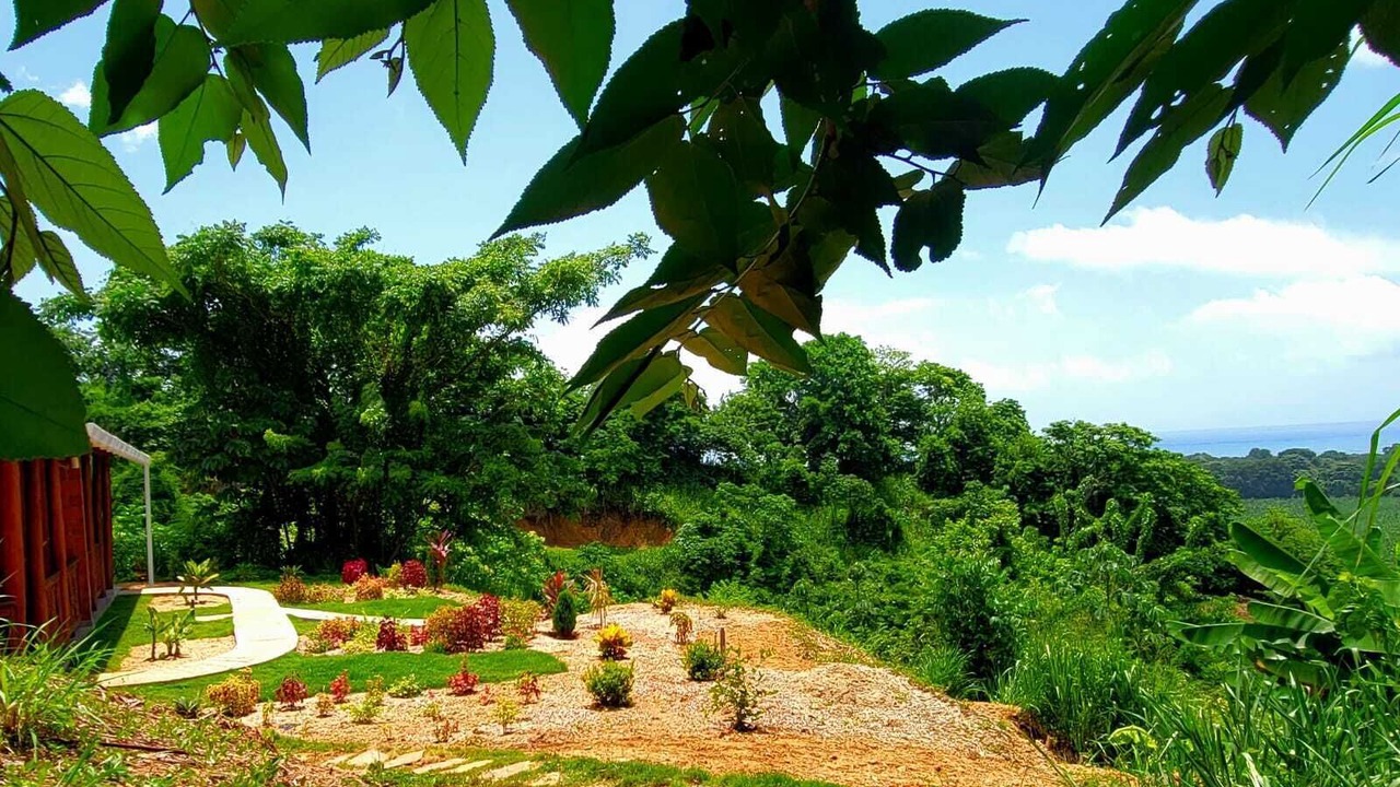 Photo of Bedroom in Buritaca