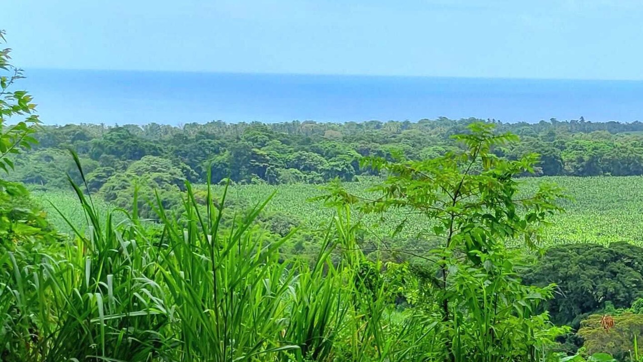 Photo of Others in Buritaca