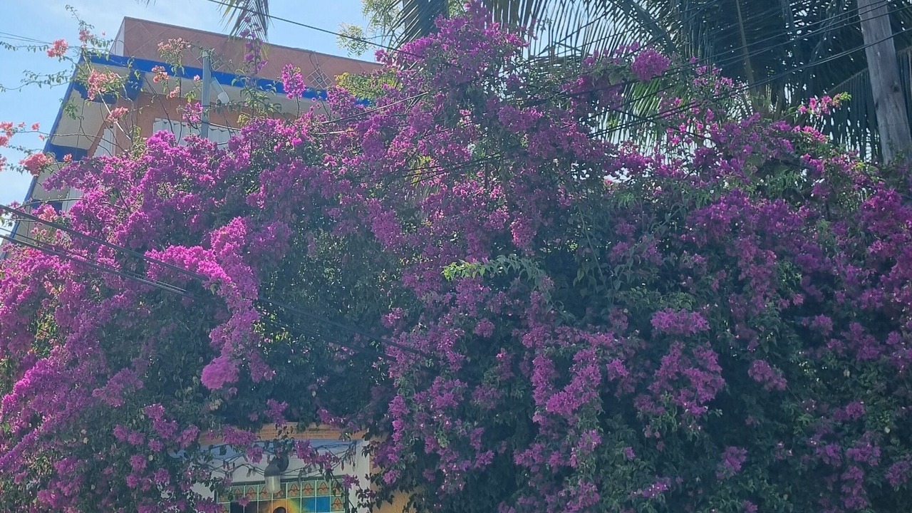 Photo of Outdoor in Salina Grande