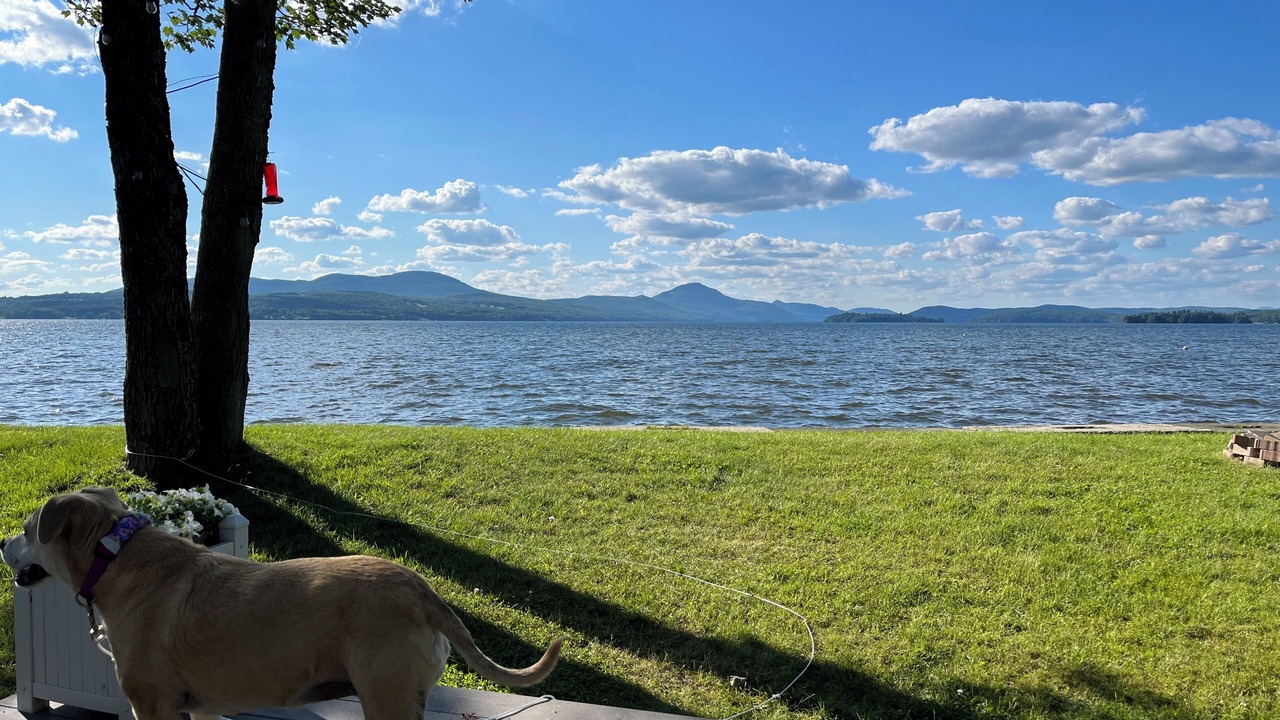 Photo of Outdoor in Newport