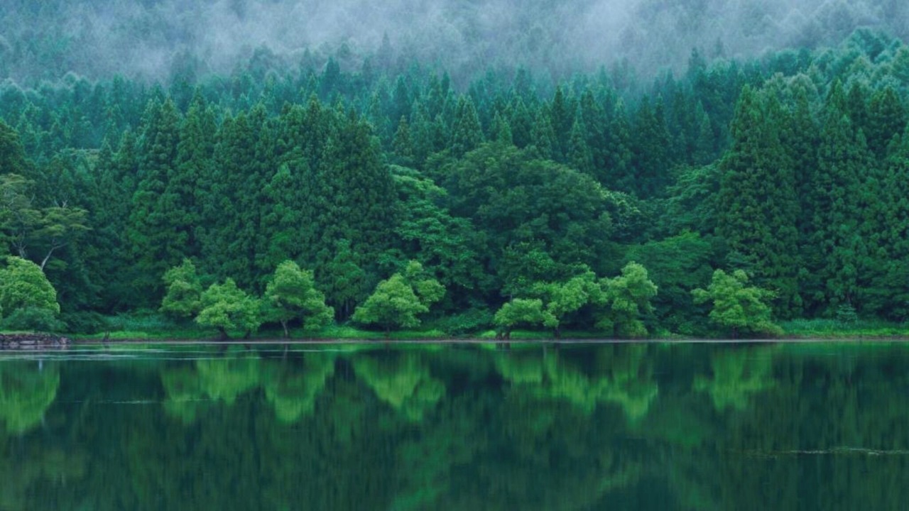 Photo of Others in Iiyama