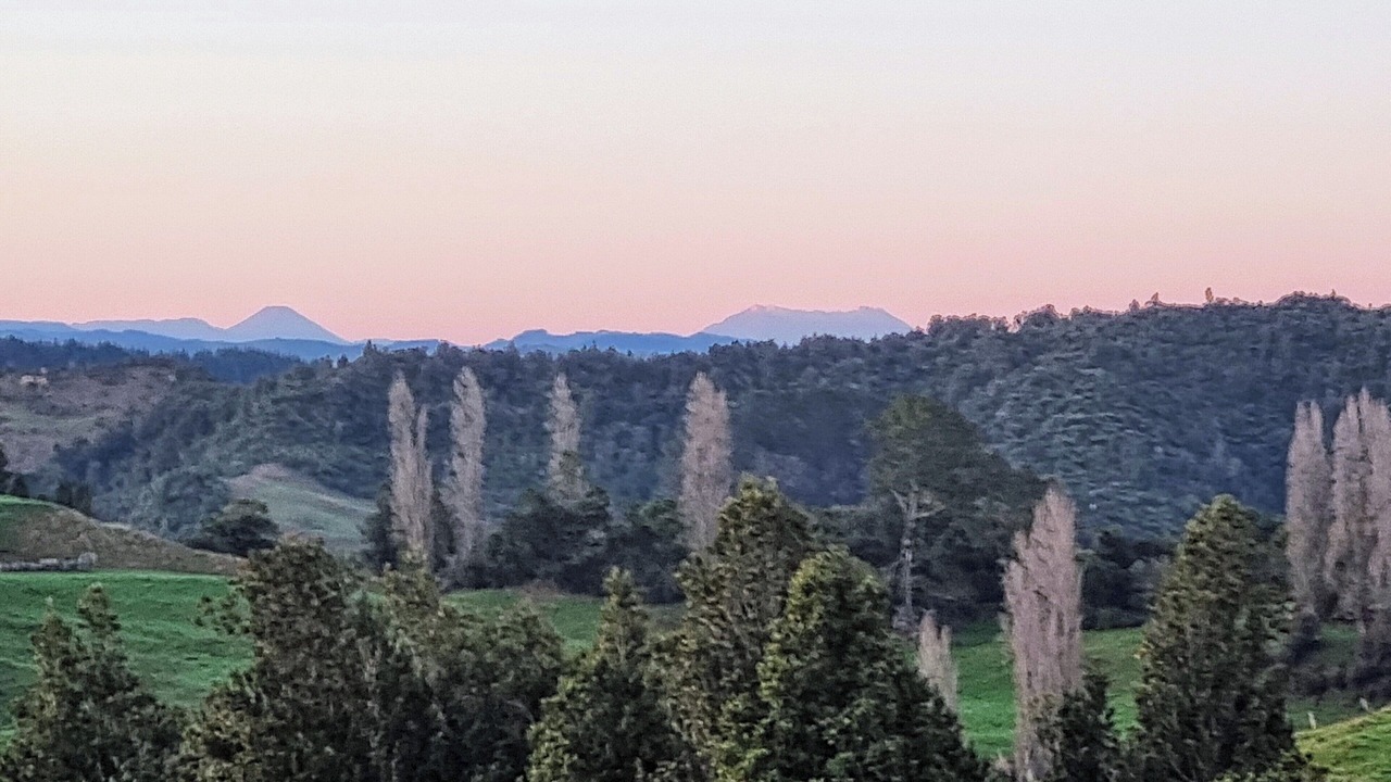Photo of Others in Waitomo Caves