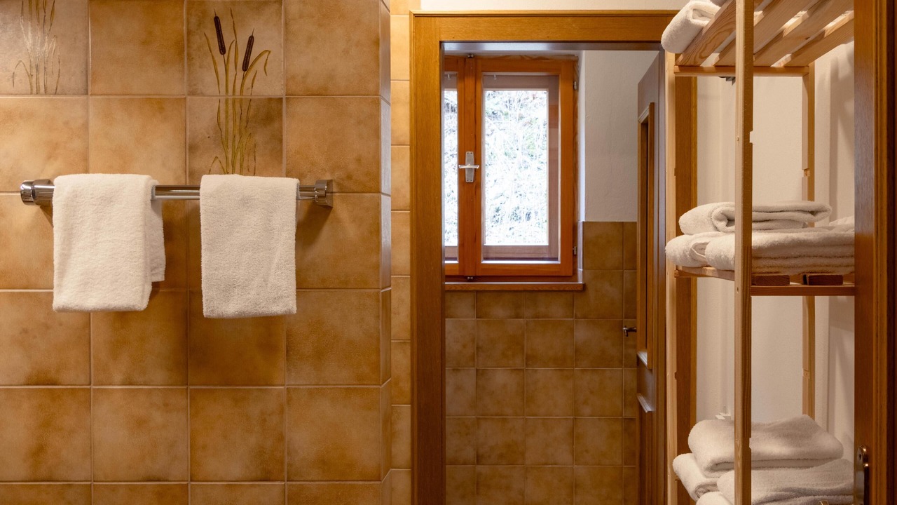 Photo of Bathroom in Sellrain