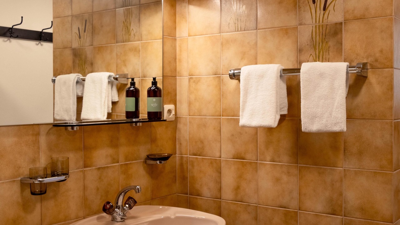Photo of Bathroom in Sellrain