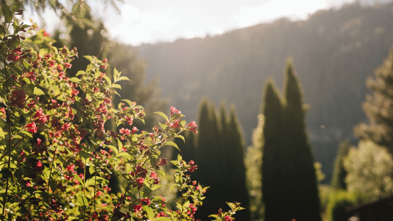 Photo of Outdoor in Ried im Oberinntal