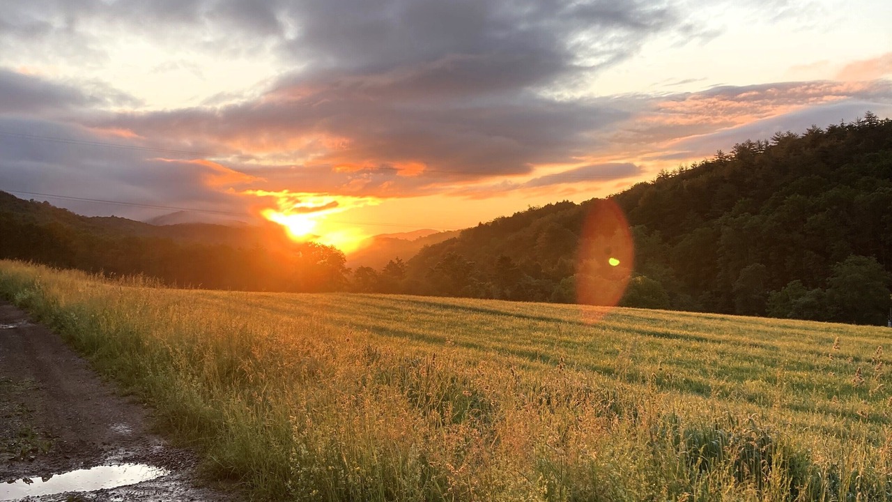 Photo of Outdoor in Farrandsville