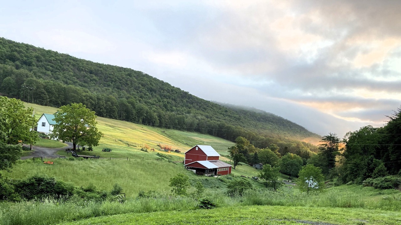 Photo of Others in Farrandsville