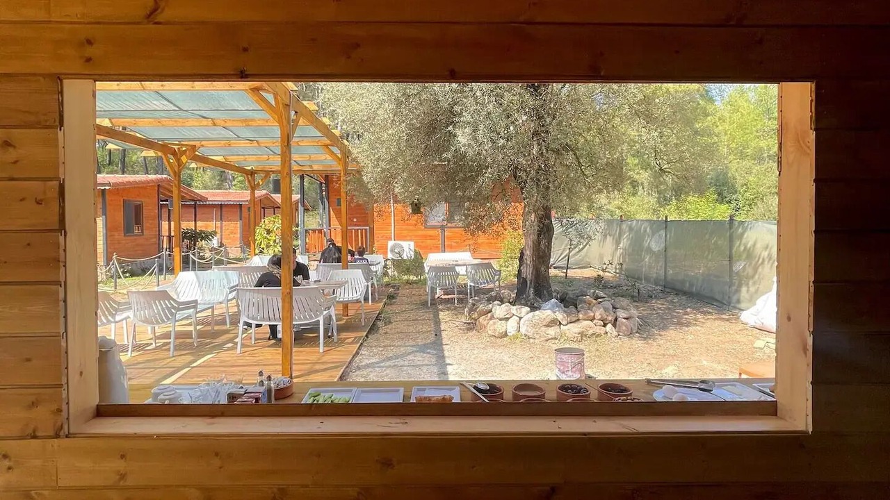 Photo of Others in Olympos