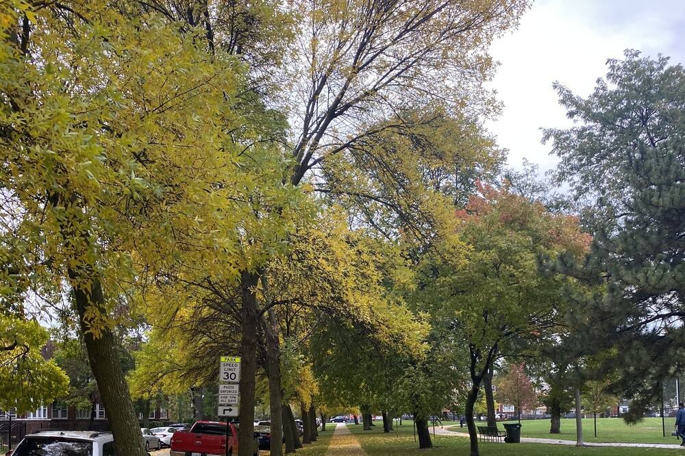 Photo of Outdoor in Logan Square