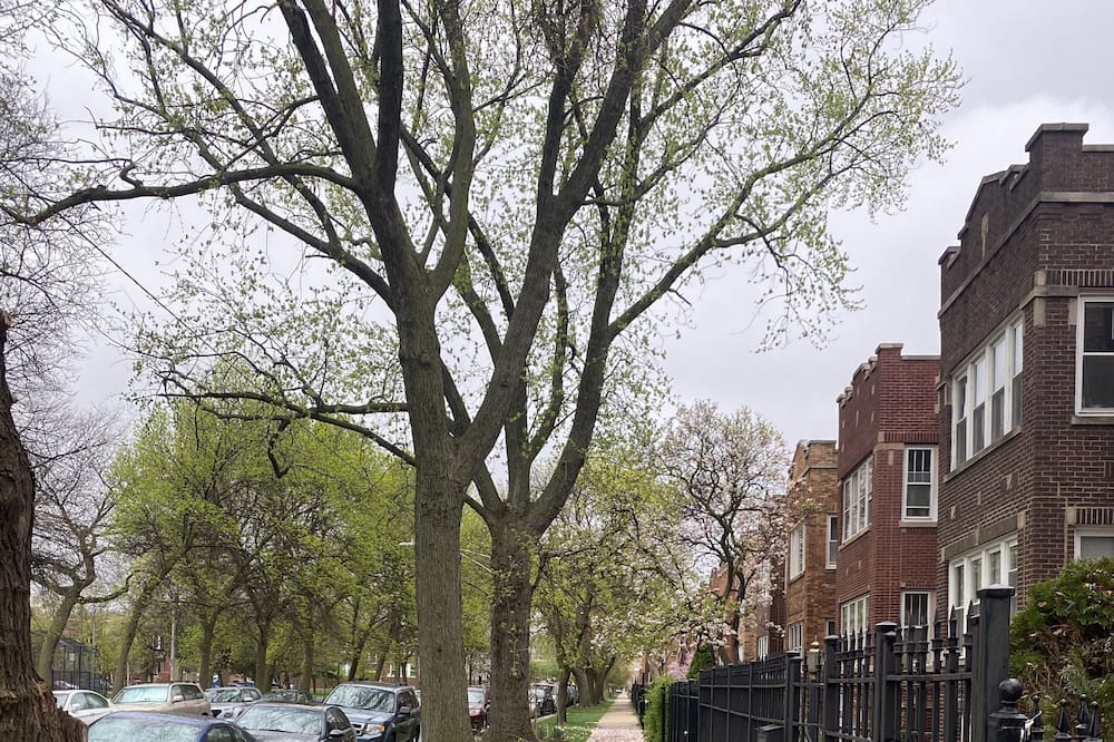 Photo of Outdoor in Logan Square