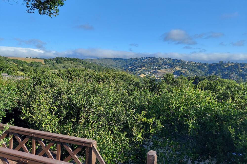 Photo of Others in Emerald Hills