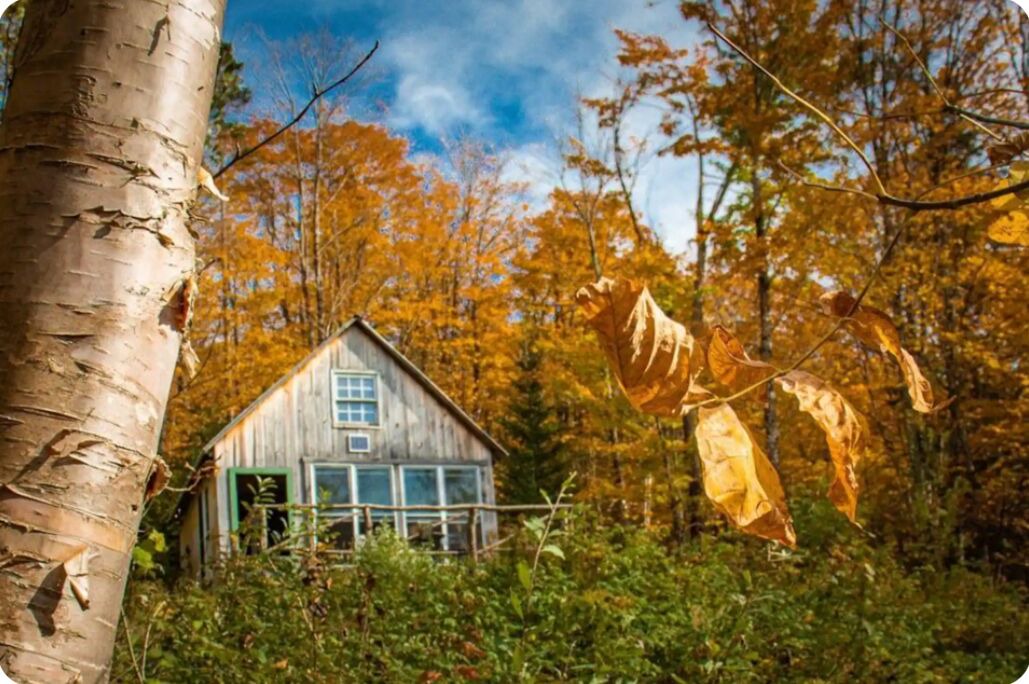 Photo of Outdoor in Walden