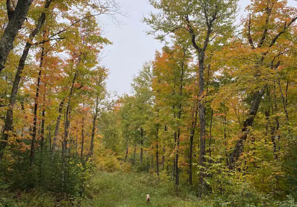 Photo of Outdoor in Walden
