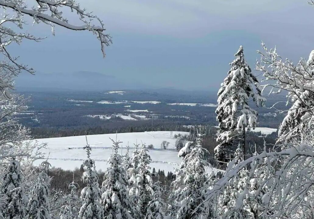 Photo of Others in Walden
