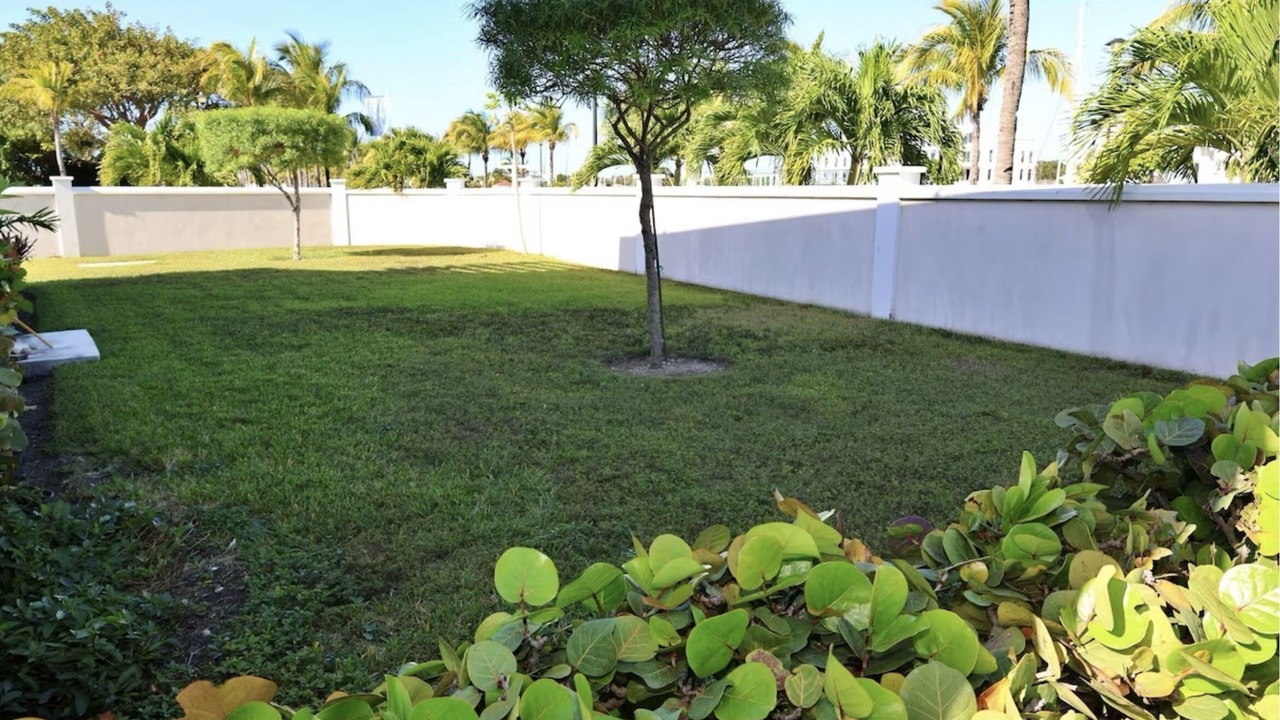Photo of Outdoor in Palm Cay
