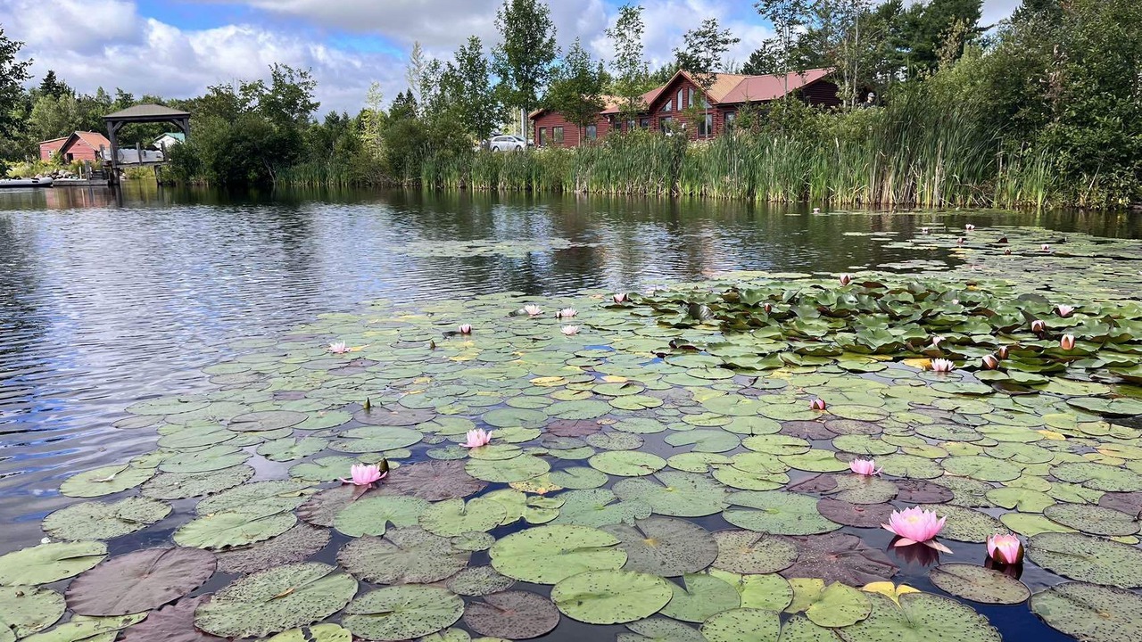 Photo of Outdoor in Harrington