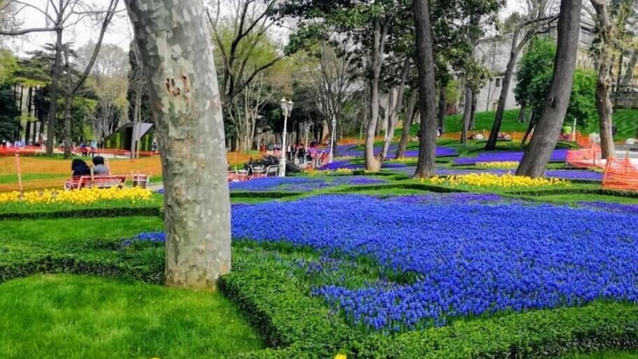Photo of Outdoor in Cagaloglu