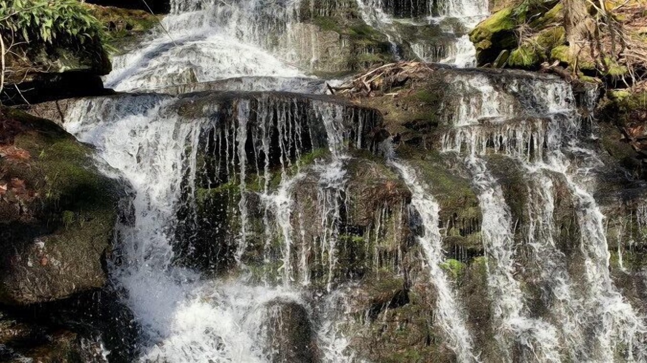 Photo of Outdoor in Roscoe