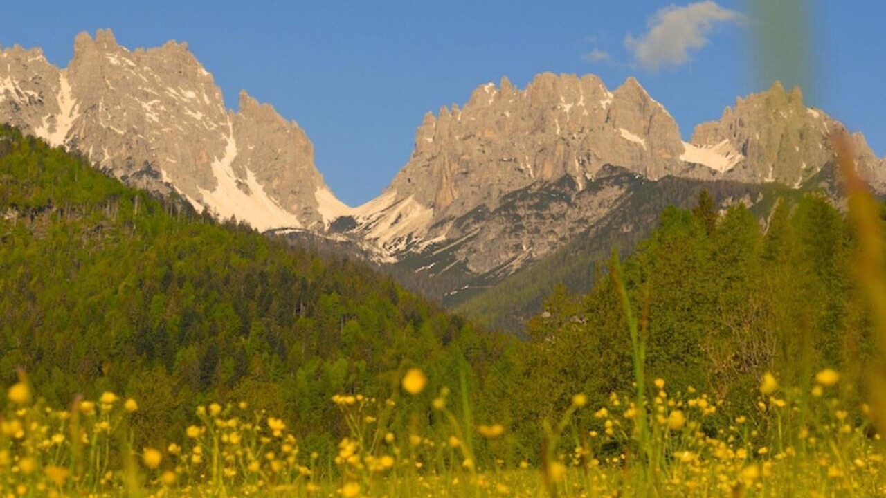Photo of Others in Forni di Sopra