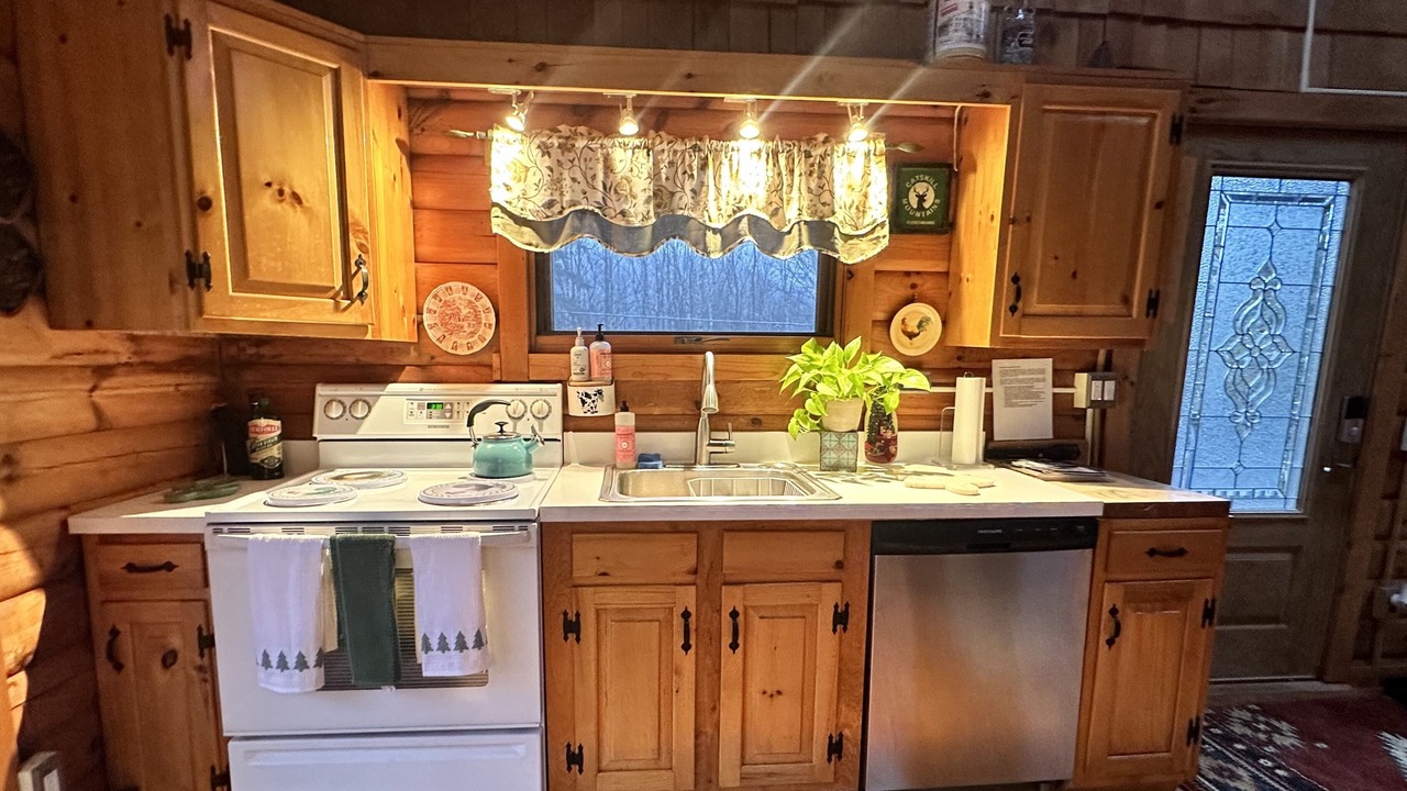 Photo of Kitchen in Fleischmanns