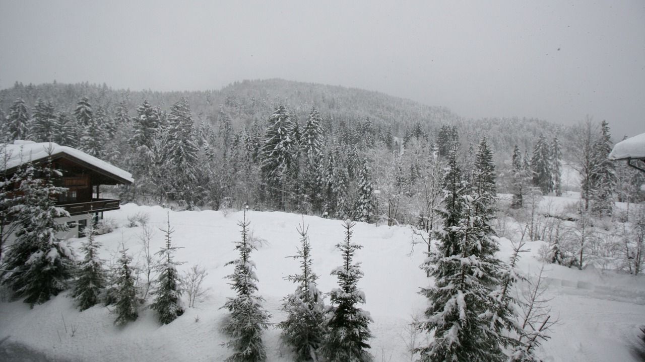 Photo of Outdoor in Groissenbach