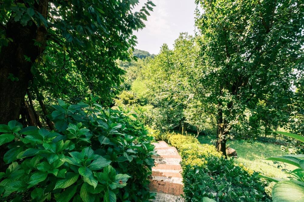 Photo of Outdoor in Derbent
