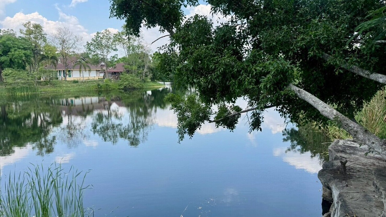 Photo of Outdoor in Khanong Phra