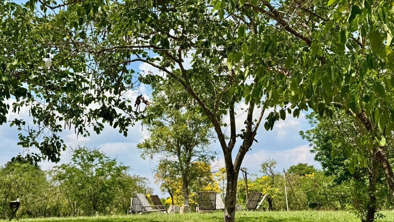 Photo of Outdoor in Khanong Phra