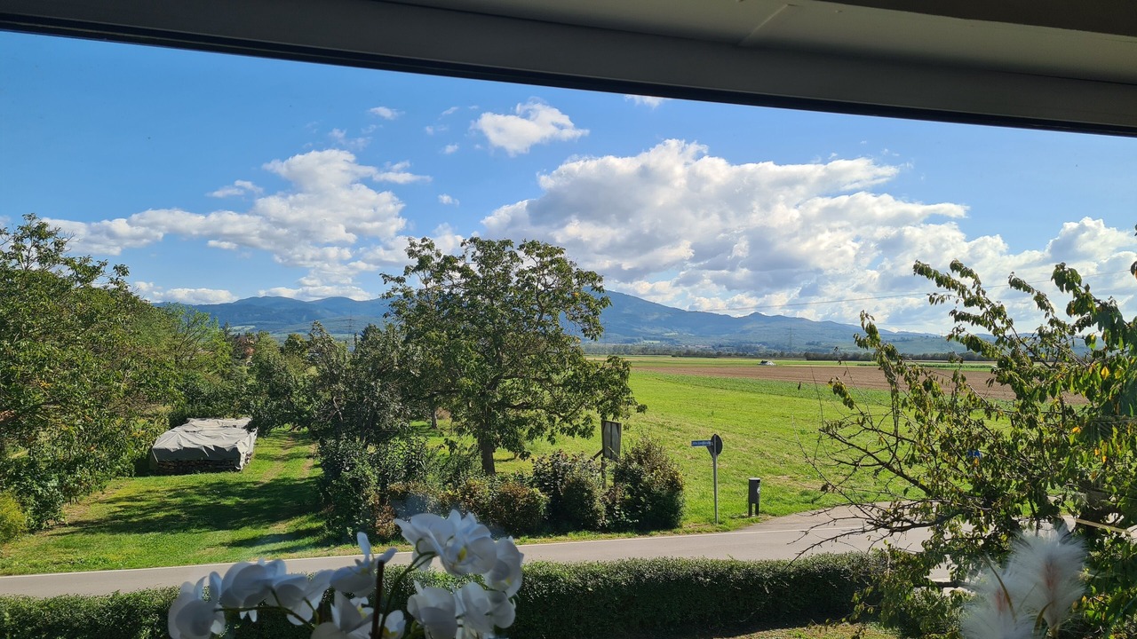 Photo of Outdoor in Zienken