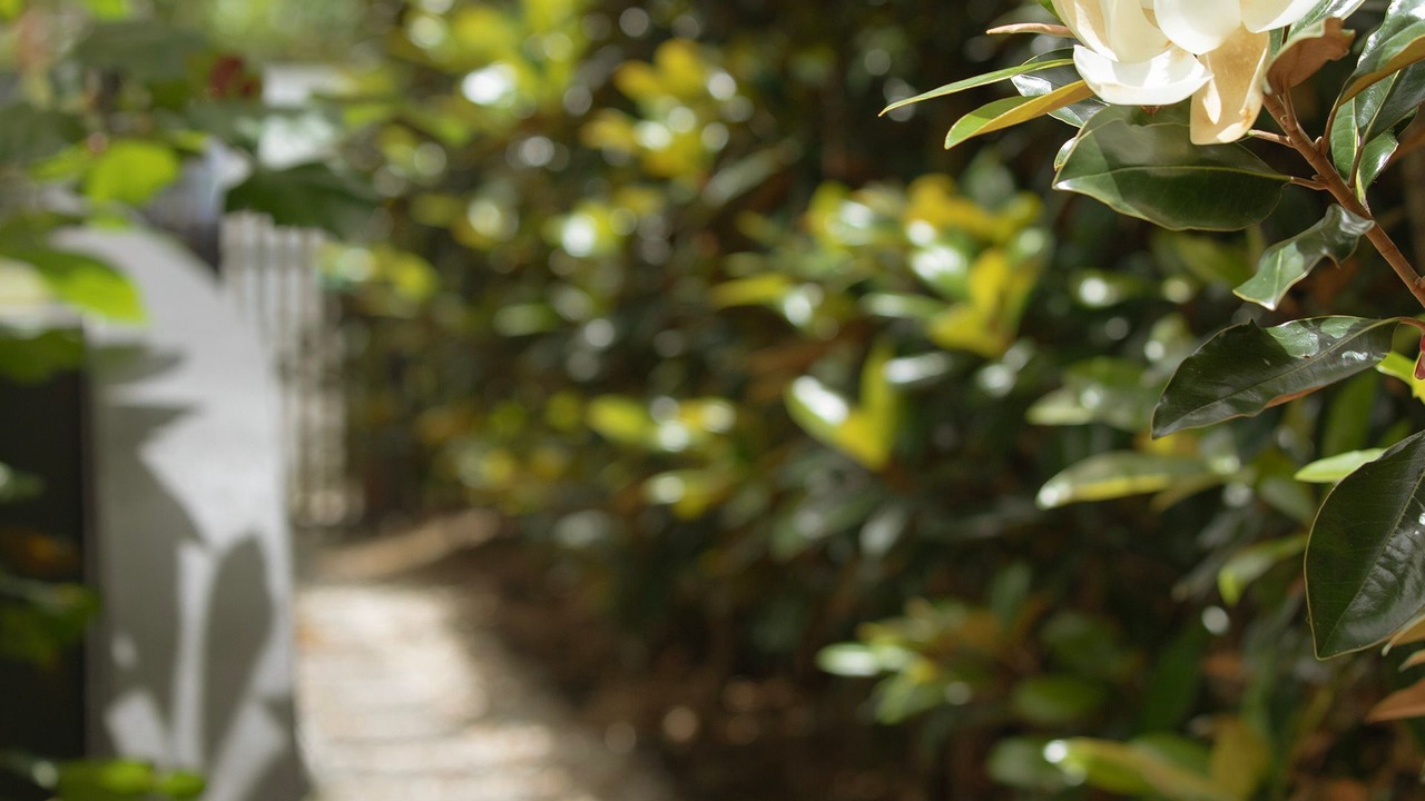 Photo of Outdoor in Narrabeen