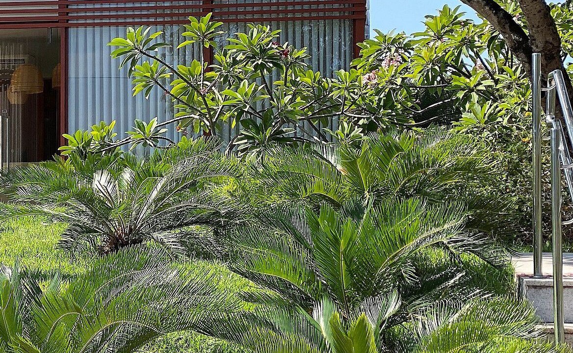 Photo of Outdoor in Pipa