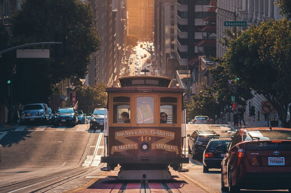 Photo of Others in Cow Hollow