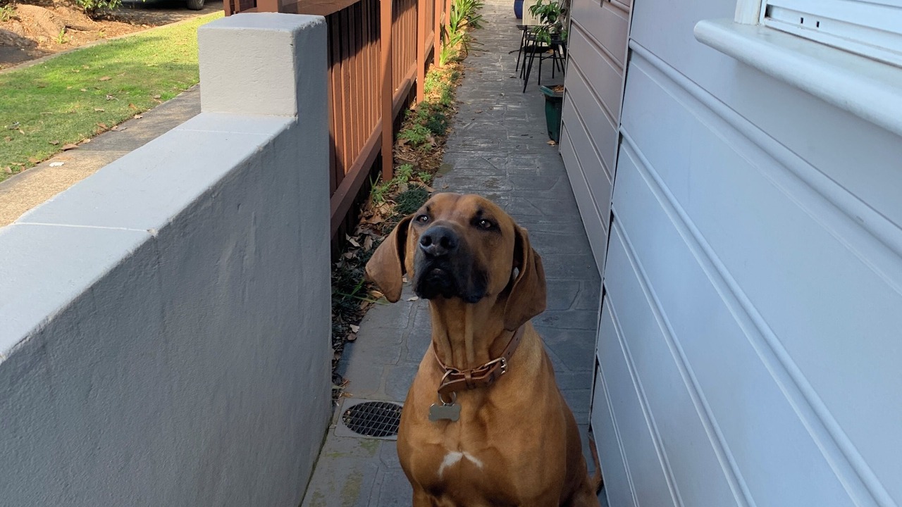 Photo of Outdoor in Manly