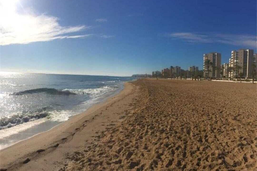 Photo of Others in Alicante