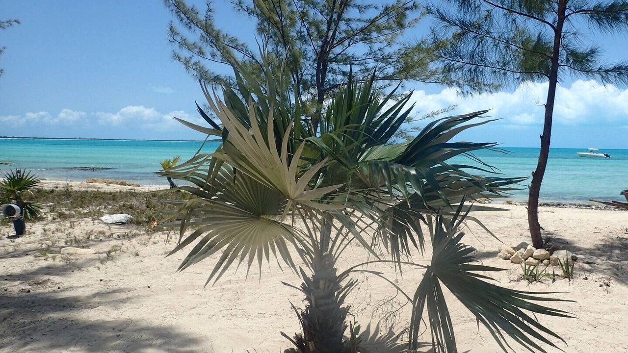Photo of Outdoor in Morris Settlement