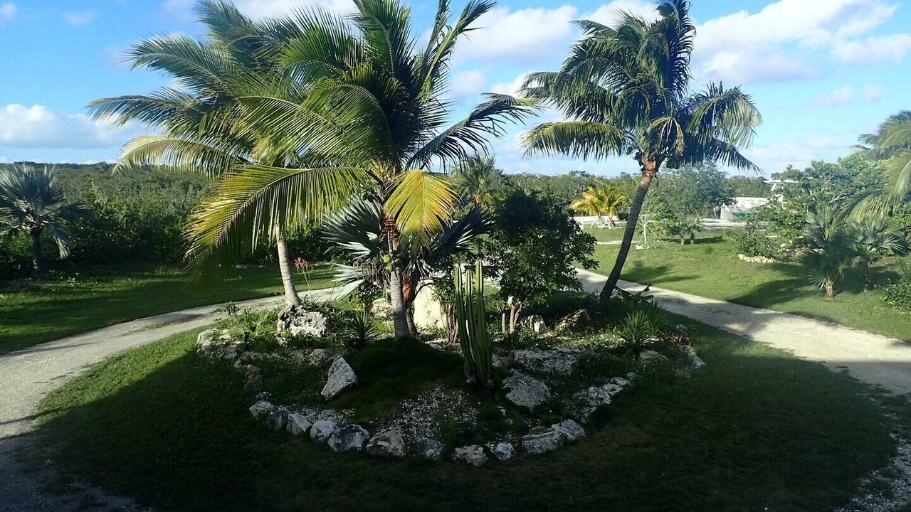 Photo of Outdoor in Morris Settlement