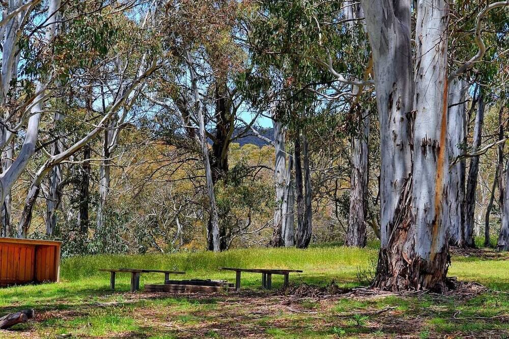 Photo of Outdoor in Adaminaby
