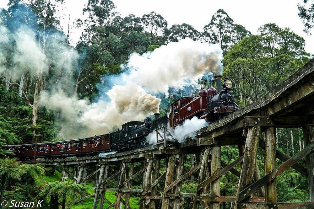 Photo of Outdoor in Ferntree Gully