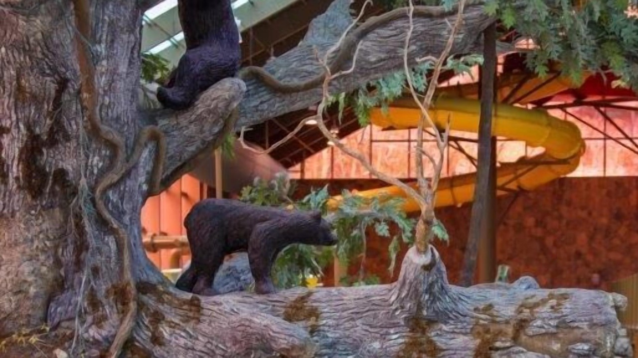 Photo of Outdoor in Gatlinburg