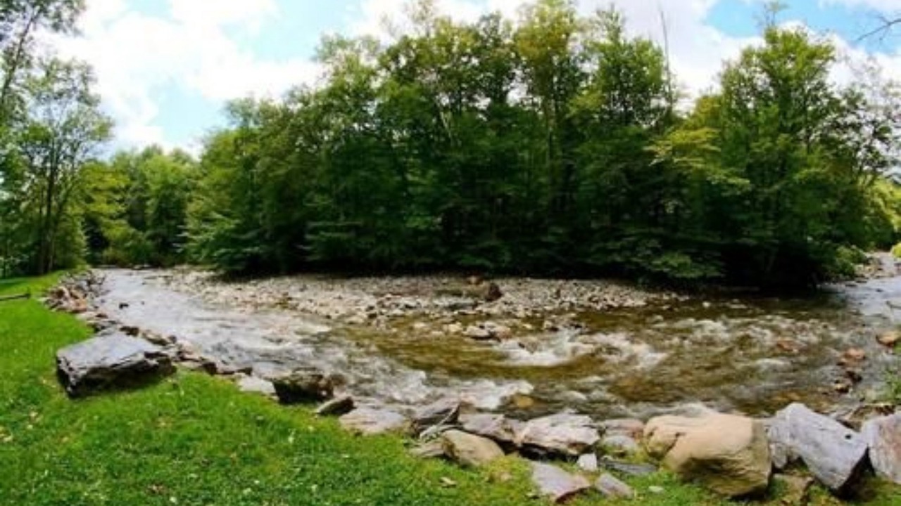 Photo of Outdoor in Stowe Area